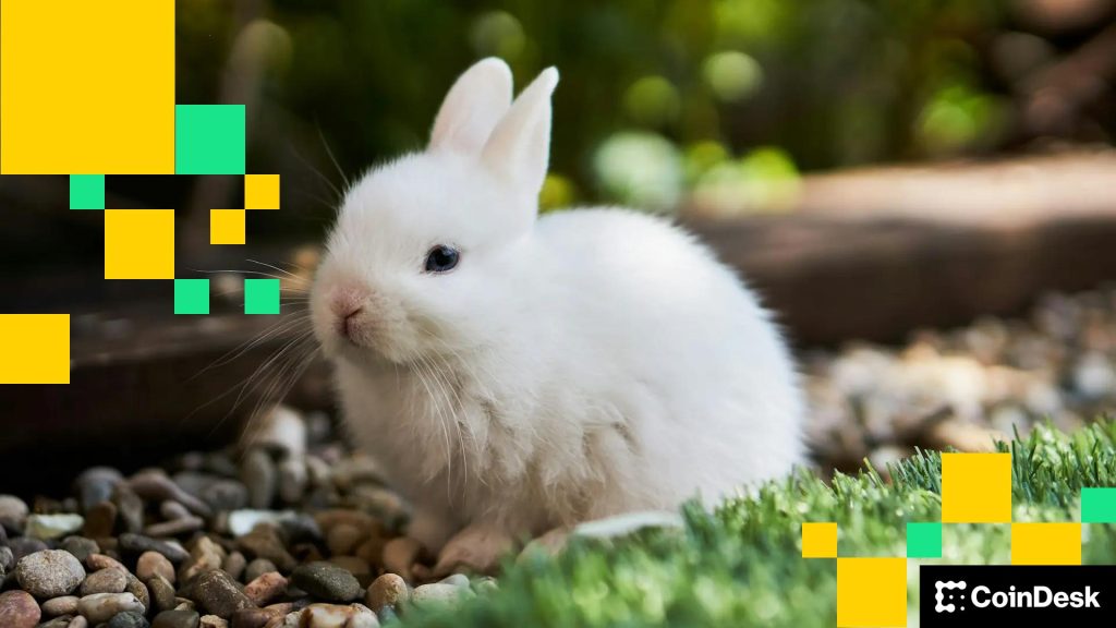 Bunni DEX Shuts Down Over $8.4M Exploit, Costly Recovery Road