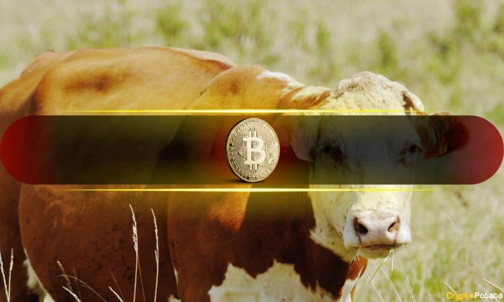 Global M2 Growth Signals Bitcoin Bull Market Intact Despite October Crash, Says VanEck Global M2 Growth Signals Bitcoin Bull Market Intact Despite October Crash, Says VanEck