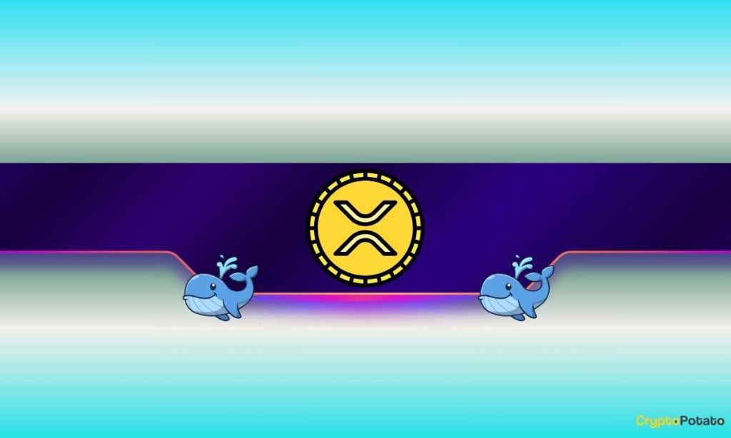 460,000,000 XRP Moved in 4 Days: Bull Trap or Breakout? 460,000,000 XRP Moved in 4 Days: Bull Trap or Breakout?