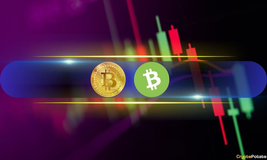 BCH and WLFI Explode by Double Digits, BTC Price Calms at $84K: Weekend Watch