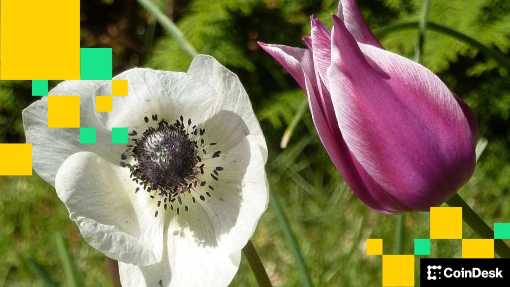 Concerns Ease, Bitcoin Firms and Altcoins Diverge