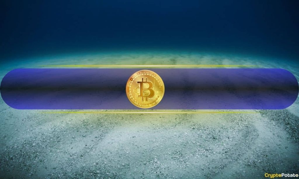 Is Bitcoin Bottoming Out? Long-Term Indicators Shift as Short-Term Pain Persists: Fidelity Bitcoin Nearing a Bottom? Key Indicators Flash Mixed Signals After $59K Drop